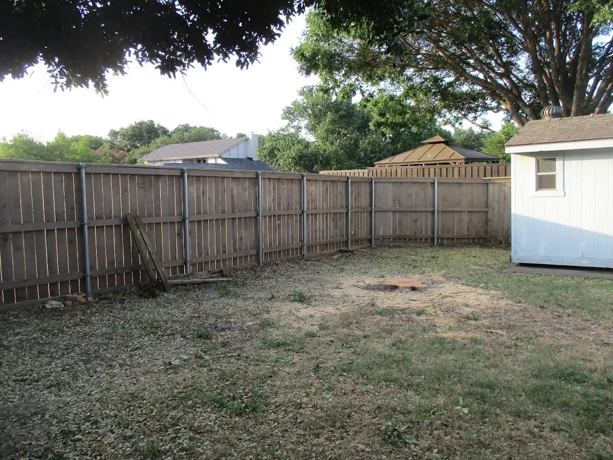 Cleared yard after professional tree removal in Delano